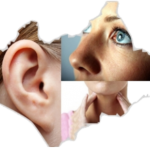 Ear, Nose, Throat & Eye