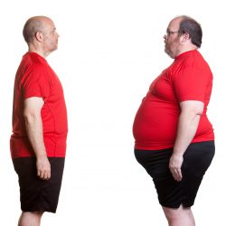 Slim vs overweight body comparison