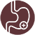 Stomach icon